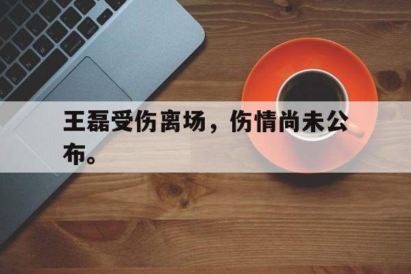 九游在线使用网址-王磊受伤离场，伤情尚未公布。