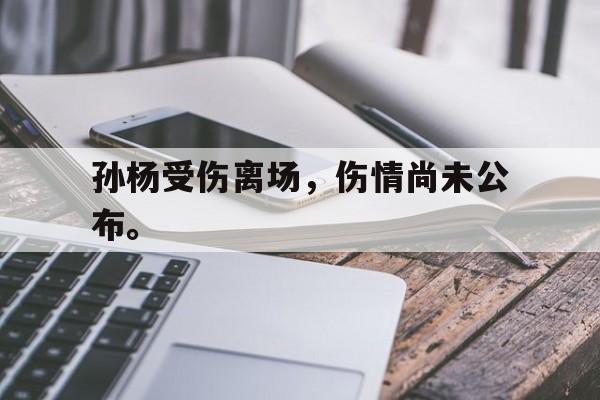 九游在线使用网址-孙杨受伤离场，伤情尚未公布。