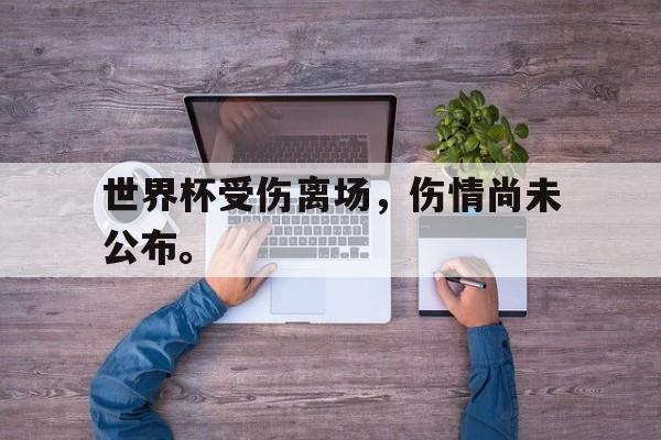 九游在线平台官网-世界杯受伤离场，伤情尚未公布。