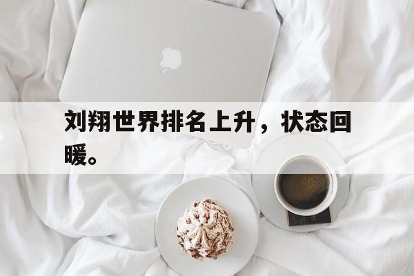 九游在线平台官网-刘翔世界排名上升，状态回暖。