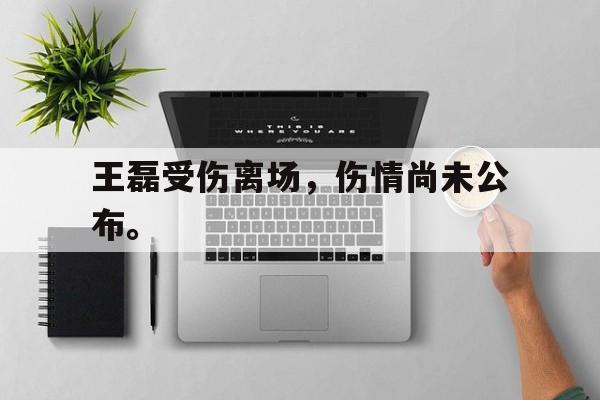 九游在线平台官网-王磊受伤离场，伤情尚未公布。