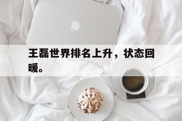 九游在线使用网址-王磊世界排名上升，状态回暖。