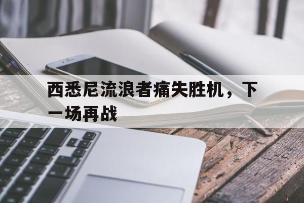 九游在线平台官网-西悉尼流浪者痛失胜机，下一场再战