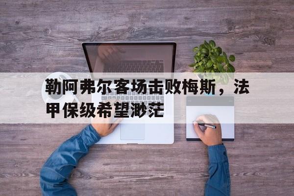 九游在线使用网址-勒阿弗尔客场击败梅斯，法甲保级希望渺茫